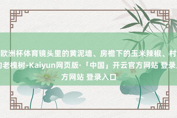 欧洲杯体育镜头里的黄泥墙、房檐下的玉米辣椒、村口的老槐树-Kaiyun网页版·「中国」开云官方网站 登录入口