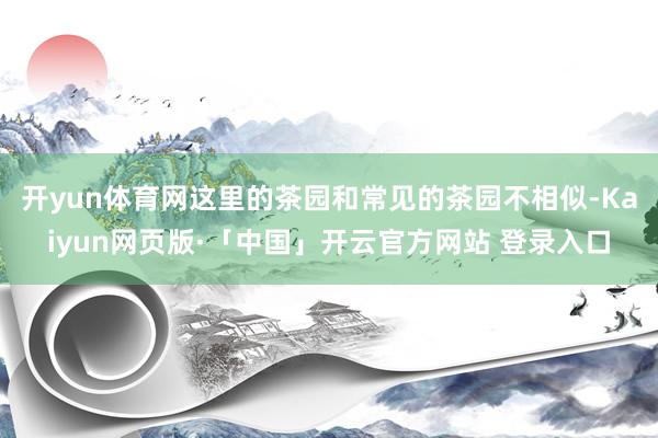 开yun体育网这里的茶园和常见的茶园不相似-Kaiyun网页版·「中国」开云官方网站 登录入口