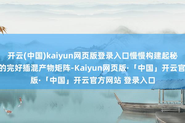 开云(中国)kaiyun网页版登录入口慢慢构建起秘籍多个细分阛阓的完好插混产物矩阵-Kaiyun网页版·「中国」开云官方网站 登录入口