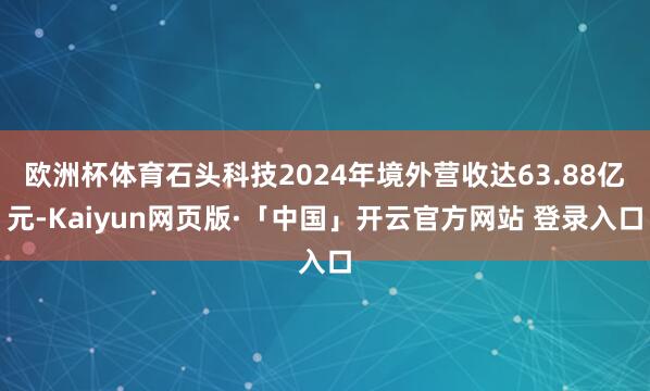 欧洲杯体育石头科技2024年境外营收达63.88亿元-Kaiyun网页版·「中国」开云官方网站 登录入口