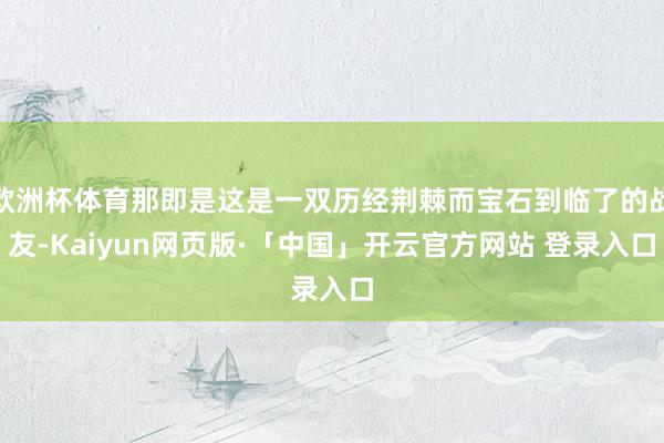欧洲杯体育那即是这是一双历经荆棘而宝石到临了的战友-Kaiyun网页版·「中国」开云官方网站 登录入口
